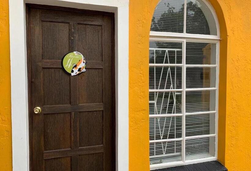 بنسيون One More Nap Self Catering