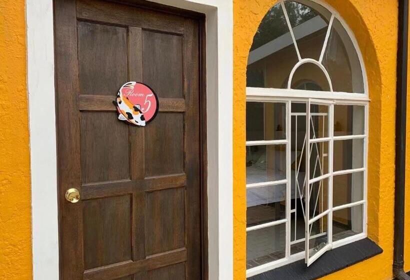 بنسيون One More Nap Self Catering