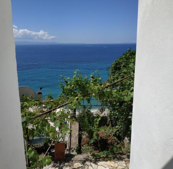 פנסיון Q Bay Apartments