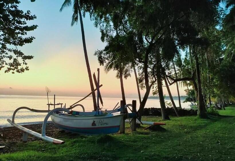 פנסיון The Lumbung Tejakula