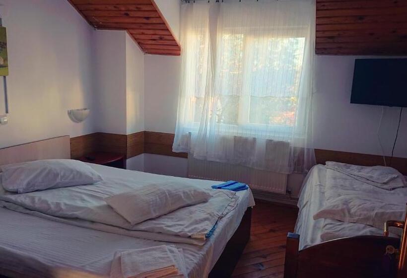 بنسيون Vila Strugurel