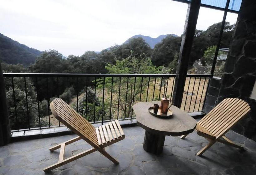 אתר נופש The Nest Cottages