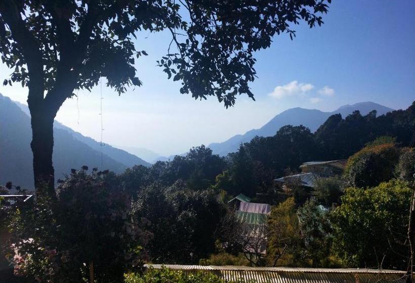 אתר נופש The Nest Cottages