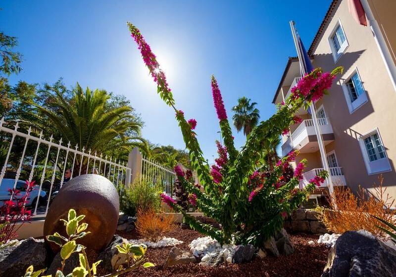 Apartamentos Los Dragos Del Norte