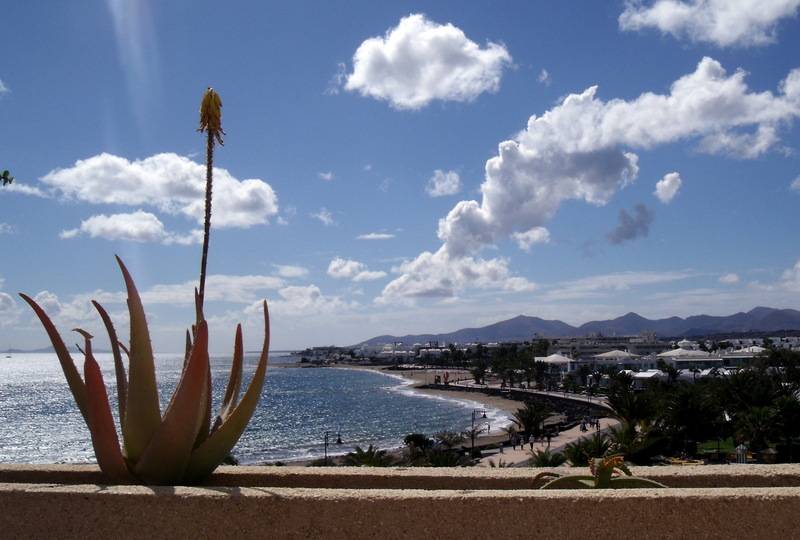 ホテル Beatriz Playa & Spa