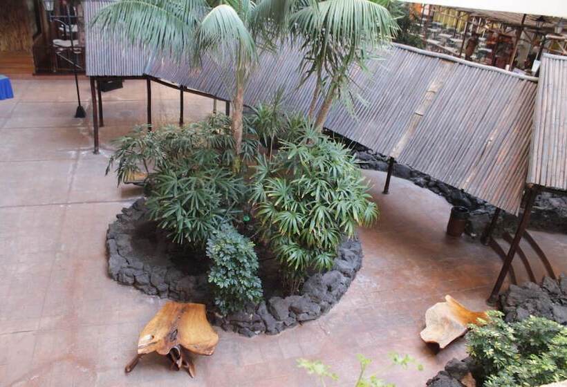 ホテル Beatriz Playa & Spa