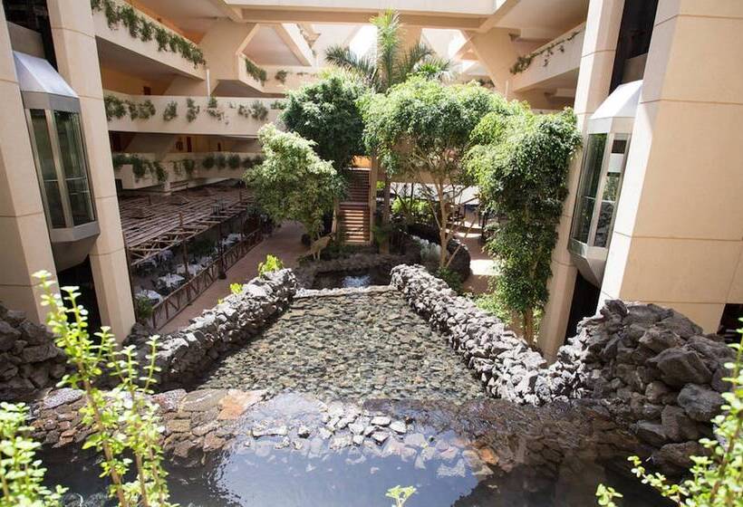 ホテル Beatriz Playa & Spa