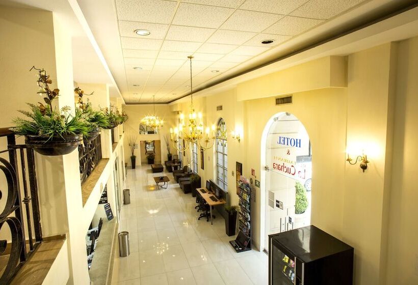 Отель Best Western Centro Monterrey