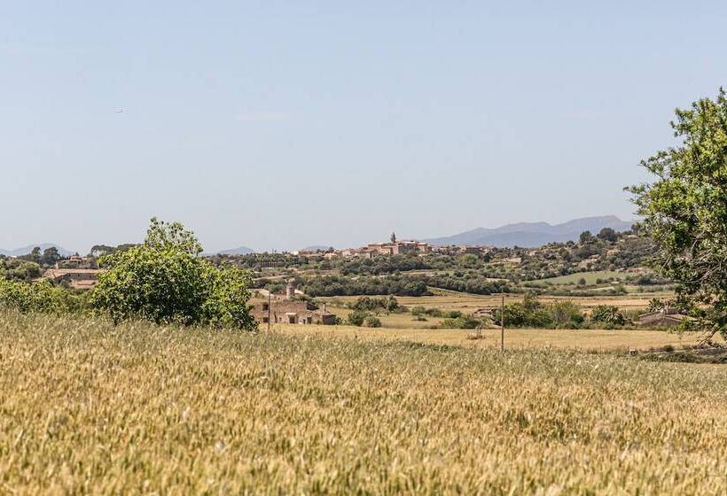 호텔 Agroturismo Sa Rota D  En Palerm