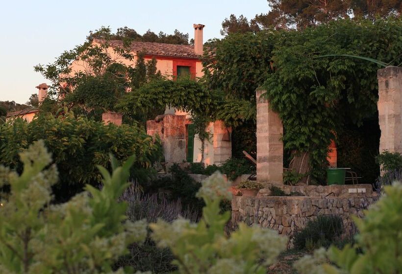 호텔 Agroturismo Sa Rota D  En Palerm