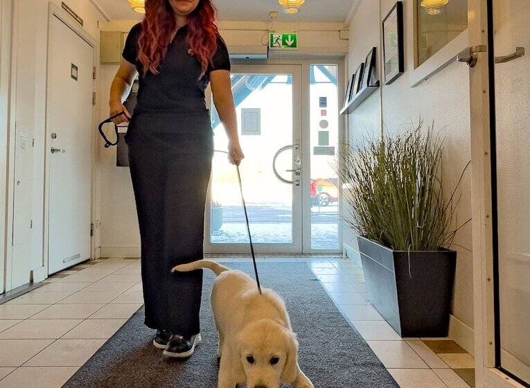 Отель Good Morning Lund