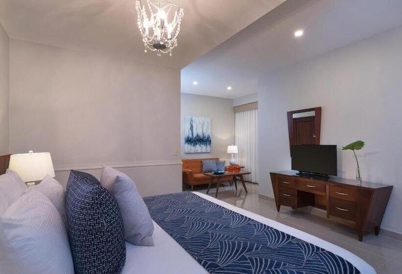 호텔 Hodelpa Caribe Colonial