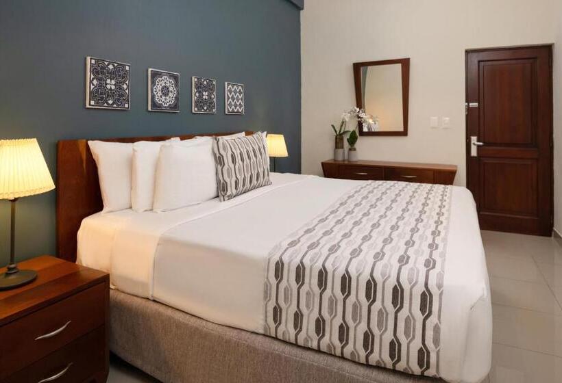 호텔 Hodelpa Caribe Colonial