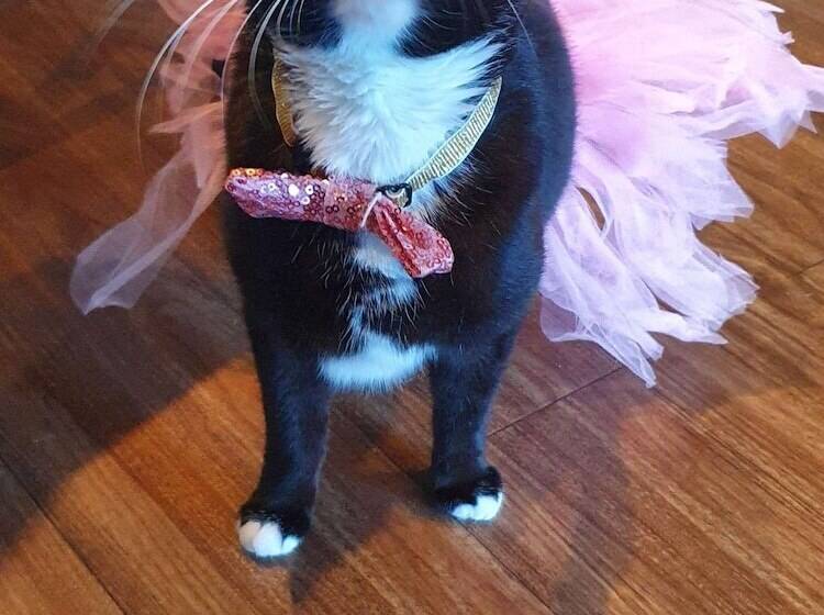 Отель Ibis Arcachon La Teste De Buch