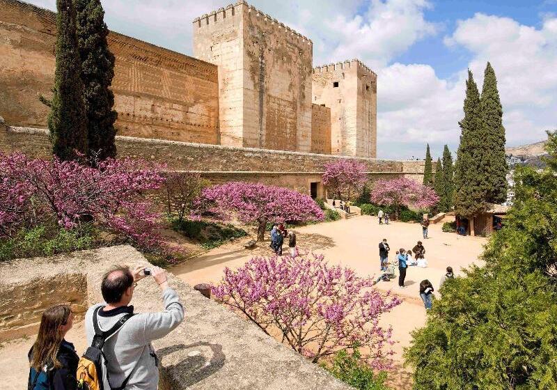 فندق Ibis Granada