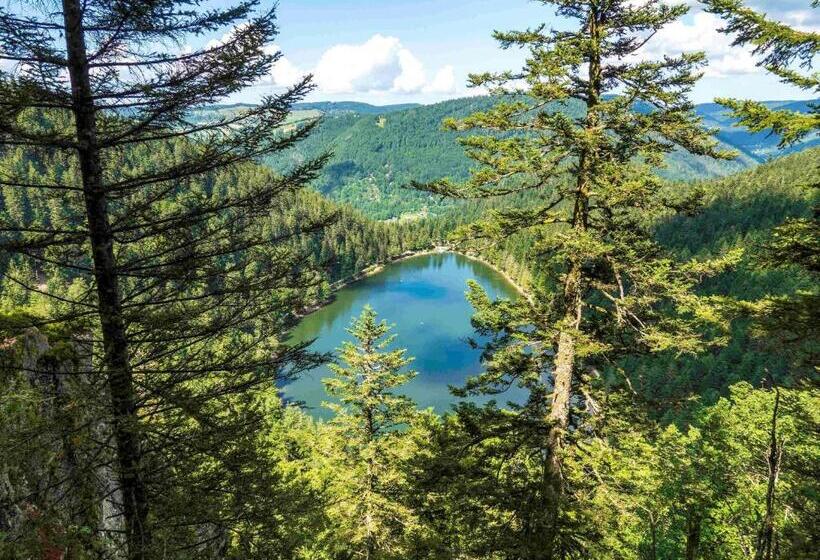 Отель Ibis La Bresse Gerardmer