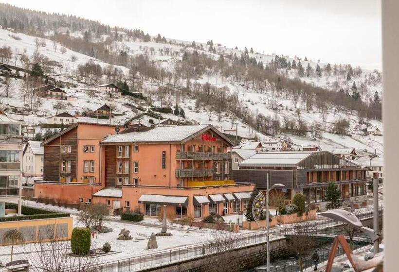 Отель Ibis La Bresse Gerardmer