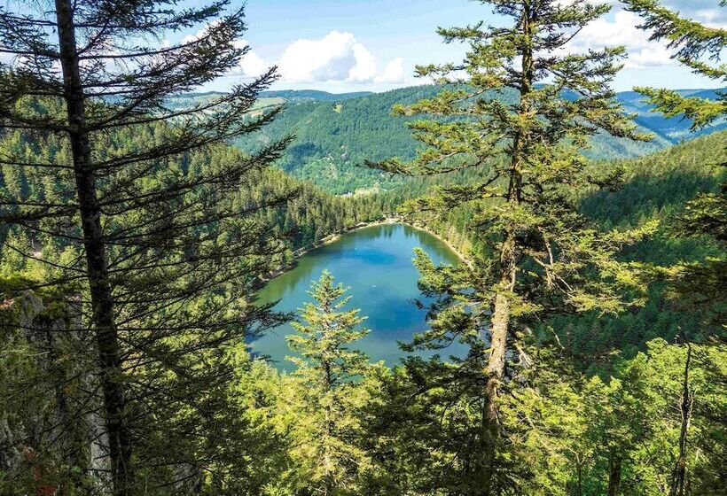 Отель Ibis La Bresse Gerardmer