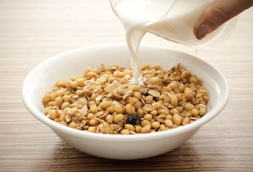 Отель Ibis Porto Sul Europarque