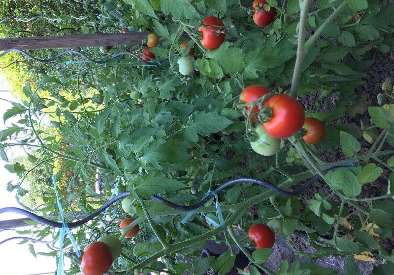 فندق Ibis Strasbourg Sud La Vigie