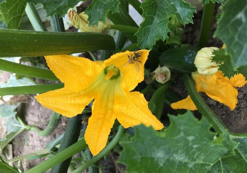 فندق Ibis Strasbourg Sud La Vigie