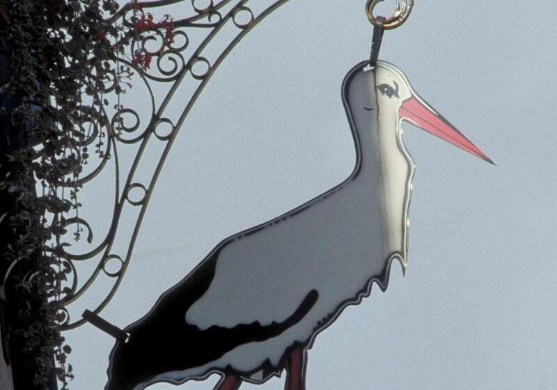 فندق Ibis Strasbourg Sud La Vigie