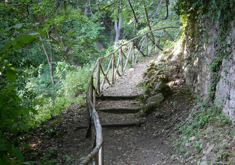 酒店 La Pace  Experience