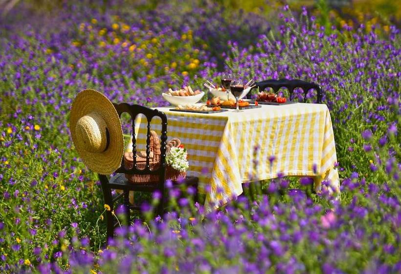 هتل Pousada Convento De Arraiolos