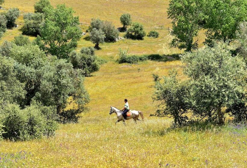 هتل Pousada Convento De Arraiolos