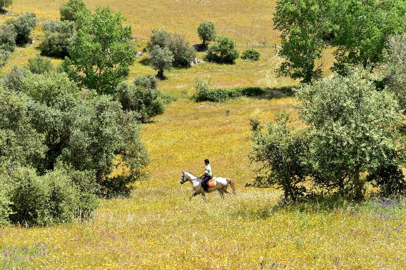 هتل Pousada Convento De Arraiolos