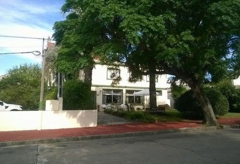 酒店 Puerto Las Palmas