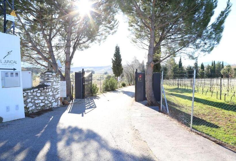 田舎風ホテル Bodega El Juncal