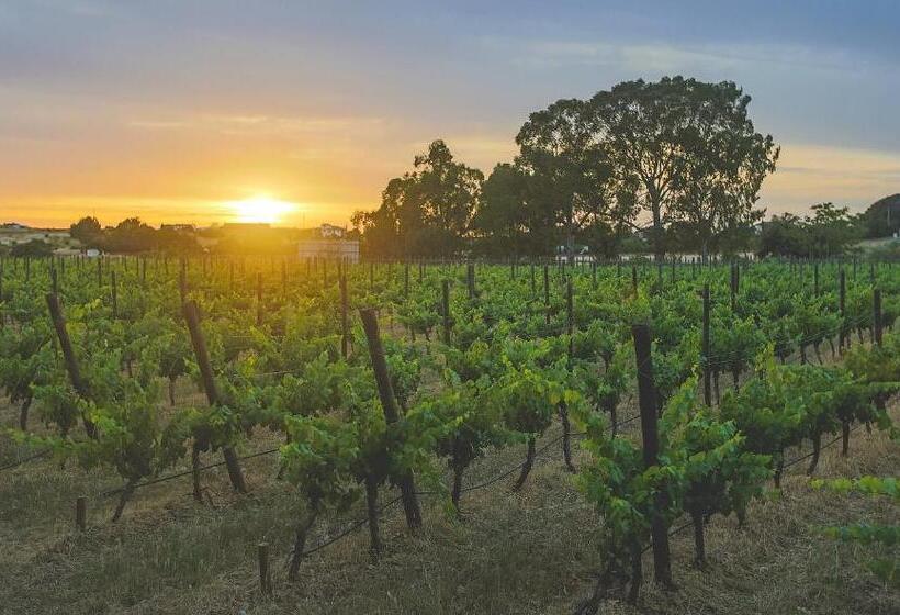 田舎風ホテル Bodega El Juncal