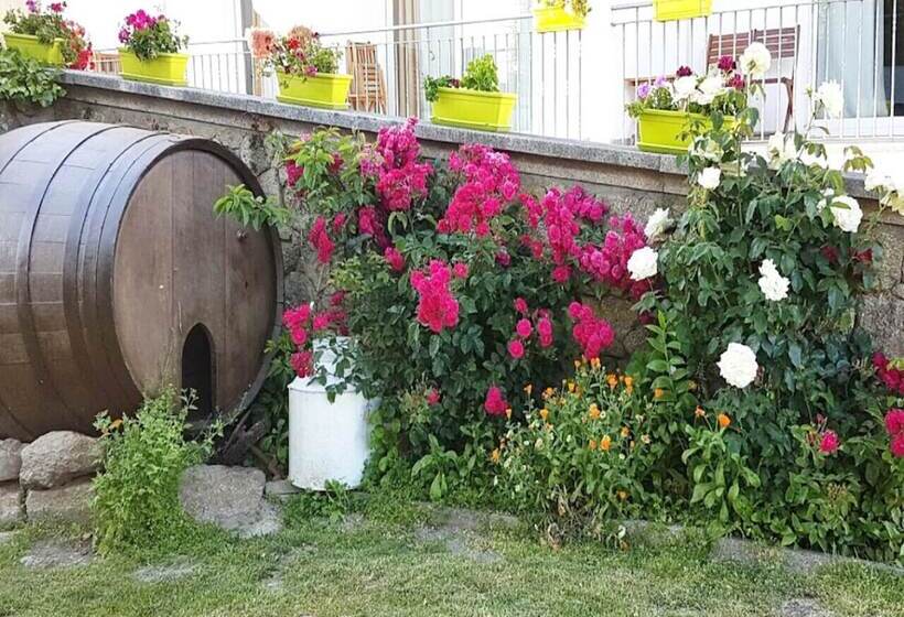 فندق ريفى Solar Dos Marcos Rural Accommodation