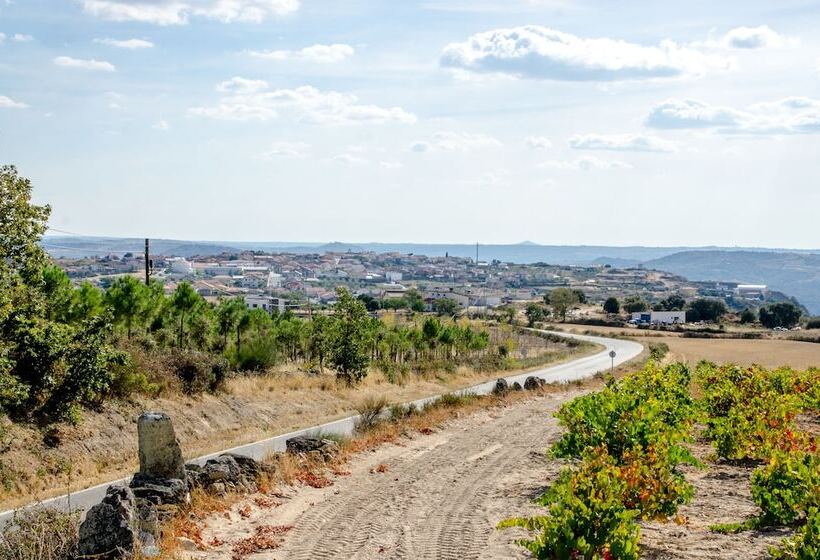 فندق ريفى Solar Dos Marcos Rural Accommodation