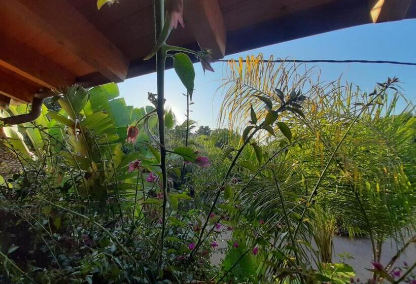 교외 호텔 Tancat De Codorniu