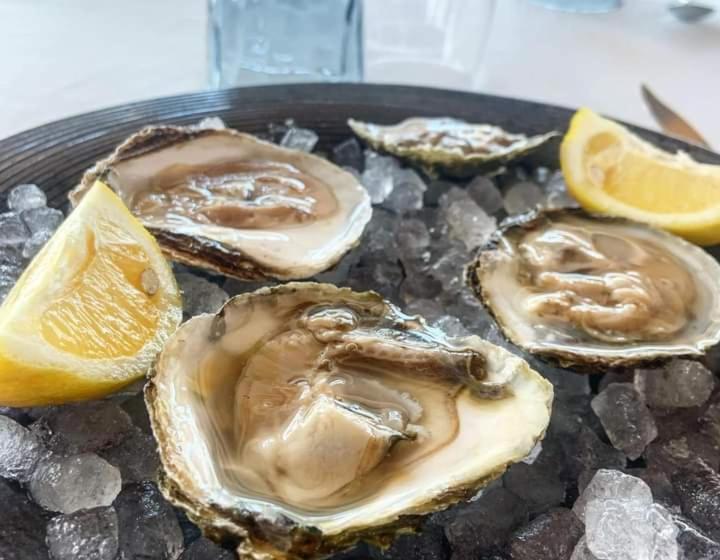 교외 호텔 Tancat De Codorniu