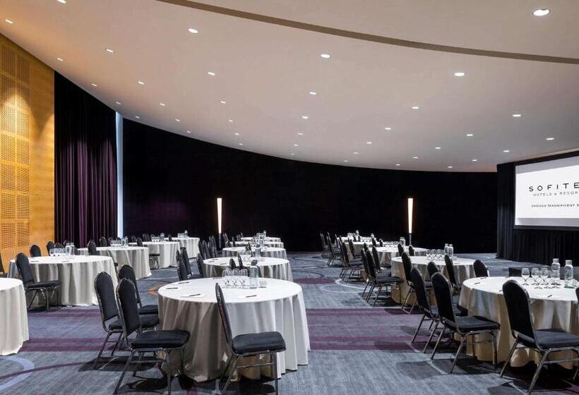 هتل Sofitel Chicago Magnificent Mile