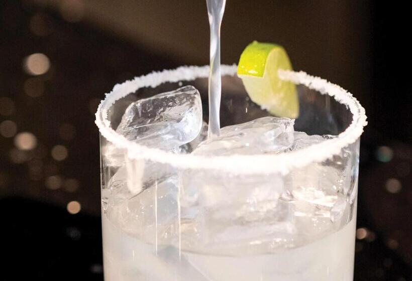 هتل Sofitel Chicago Magnificent Mile