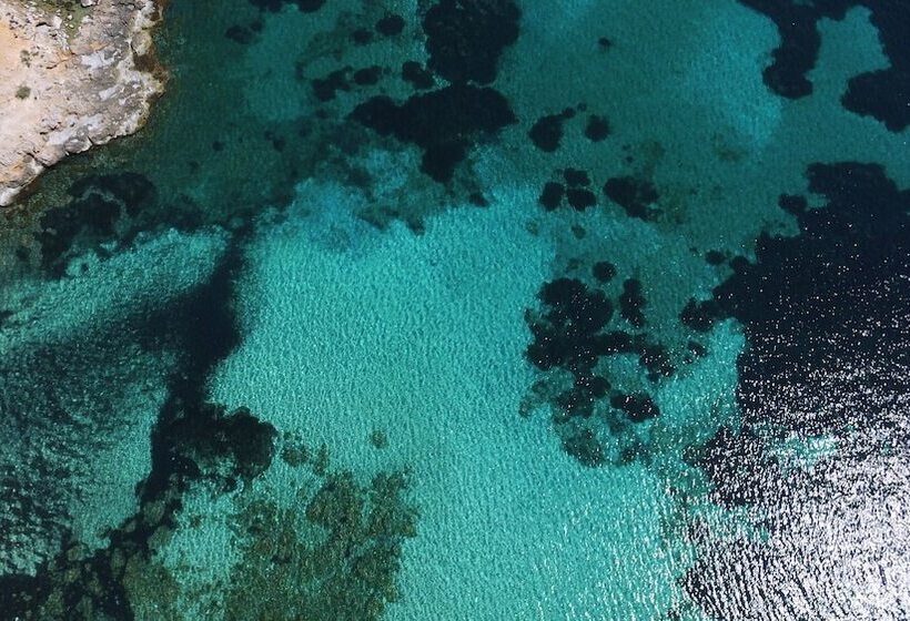 هتل Son Caliu  Spa Oasis