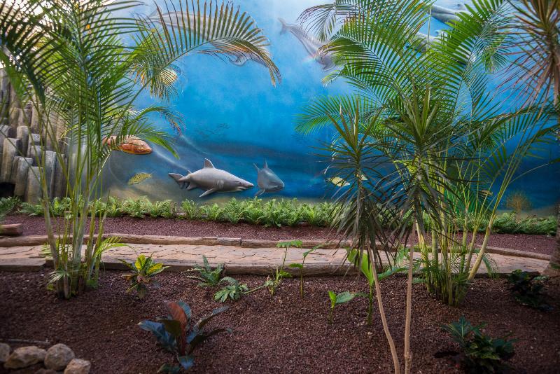 Hovima La Pinta Beachfront Family