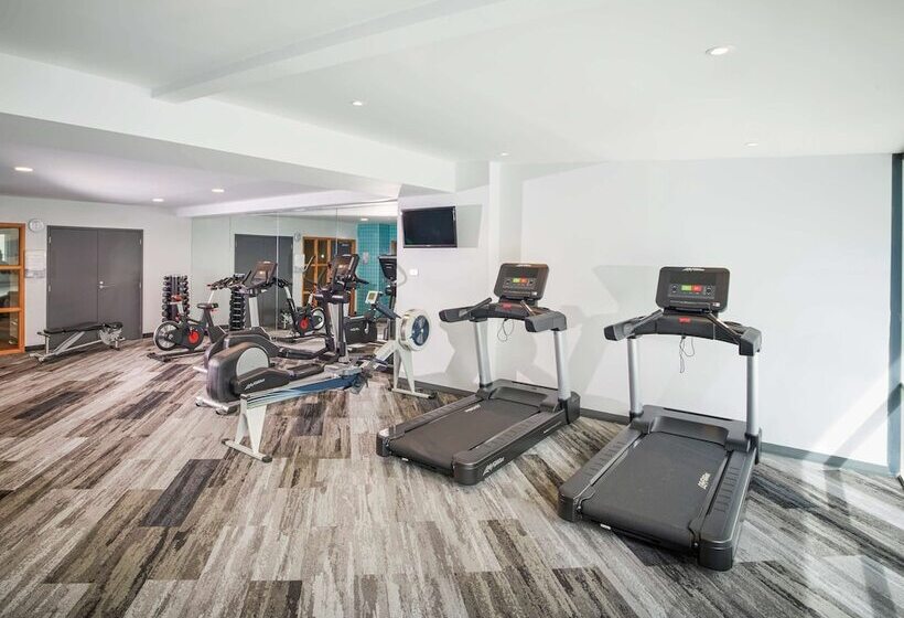 Novotel Tainui Hamilton