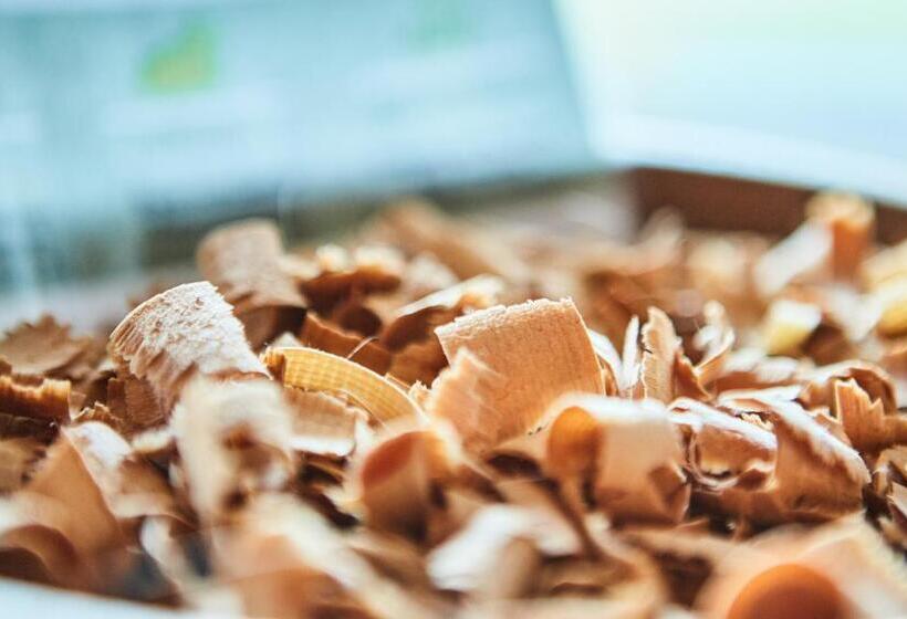 Am Zwölferkogel Appartements