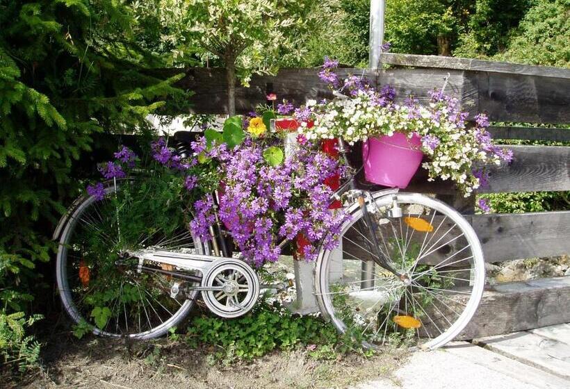 Am Zwölferkogel Appartements