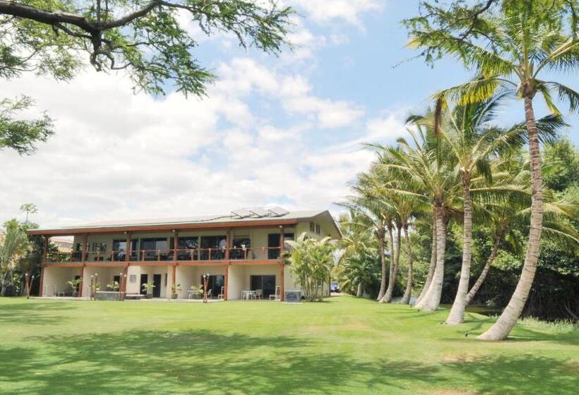 Bed and Breakfast Aloha Aku - Honu 2