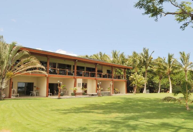 Bed and Breakfast Aloha Aku - Honu 2