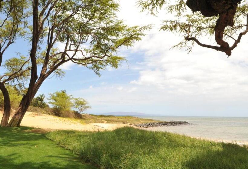 Bed and Breakfast Aloha Aku - Honu 2