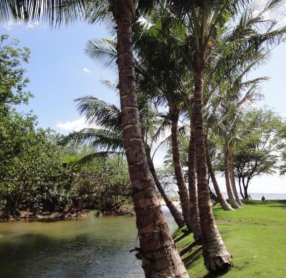 Bed and Breakfast Aloha Aku - Honu 2