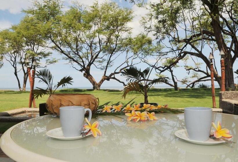 Bed and Breakfast Aloha Aku - Honu 2