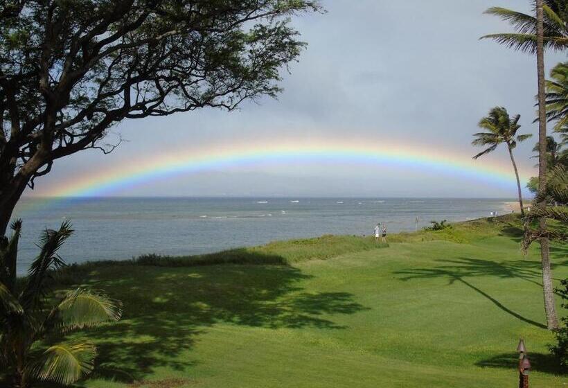 Bed and Breakfast Aloha Aku - Honu 2